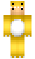 billb23 minecraft skin