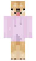 TaipeiRain minecraft skin