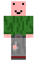 likeabauws minecraft skin