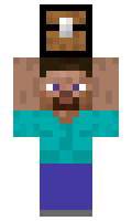South minecraft skin
