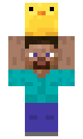 CluelessViewer minecraft skin