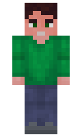 ower1 minecraft skin