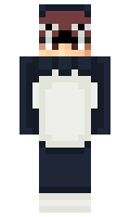 q3shu minecraft skin
