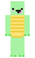 Doristurtle minecraft skin