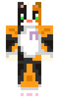crumbsdacat minecraft skin
