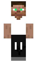 4d3aec6961015c minecraft skin
