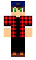AdiGG minecraft skin