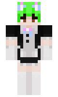 Beesrpogchmp minecraft skin