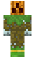 HOMINIX minecraft skin