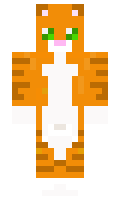 VZV minecraft skin