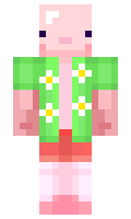superpig927 minecraft skin