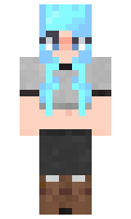 4df47098114717 minecraft skin