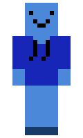 Robin23 minecraft skin