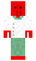Pulsar minecraft skin