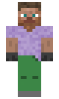 4e58d2bd0ed246 minecraft skin