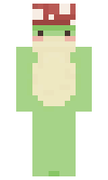 lenchis minecraft skin