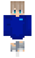 vebee minecraft skin