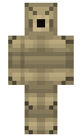 DragonZ8 minecraft skin