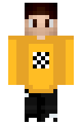 profi minecraft skin