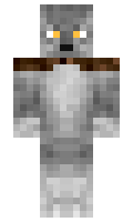 abit minecraft skin