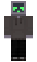 SEBSA minecraft skin