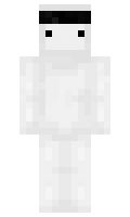 177 minecraft skin
