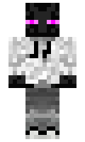 minecartrider minecraft skin