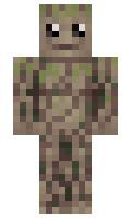 4f0a5d70704273 minecraft skin