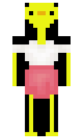 codur minecraft skin