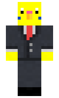YYLRR minecraft skin