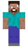 SBC043 minecraft skin