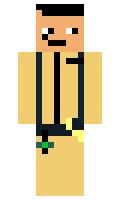 4f8d5fd5fa738a minecraft skin