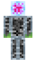 4f9f0d24e954ab minecraft skin