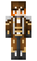S0N1C minecraft skin
