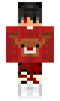 4fc8429f71f9e8 minecraft skin