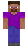 Twiskit minecraft skin