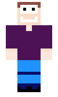 WreckItWillGames minecraft skin