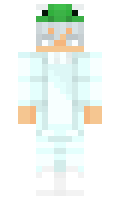 4ff445591b8c2f minecraft skin