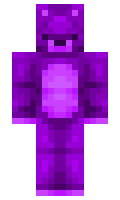 2196 minecraft skin