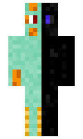 5036bbc9884609 minecraft skin