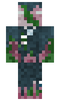 5040b4df648f0b minecraft skin