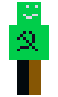 5043aaedbda124 minecraft skin