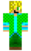 DSBwizzard minecraft skin