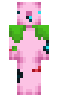 50d7e3b774553b minecraft skin