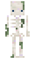 50eedf2212e3c4 minecraft skin