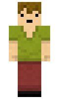5102a6701cbc41 minecraft skin