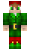 construction minecraft skin