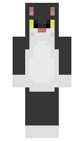 ger123ger1 minecraft skin