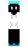 514da52f25f299 minecraft skin