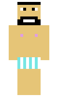 SANS566 minecraft skin
